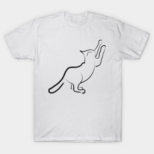 Cat Scratch T-Shirt